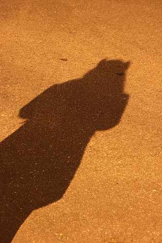 shadow